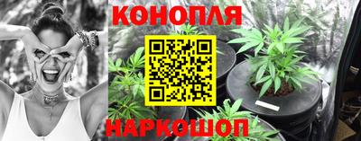 винт Партизанск