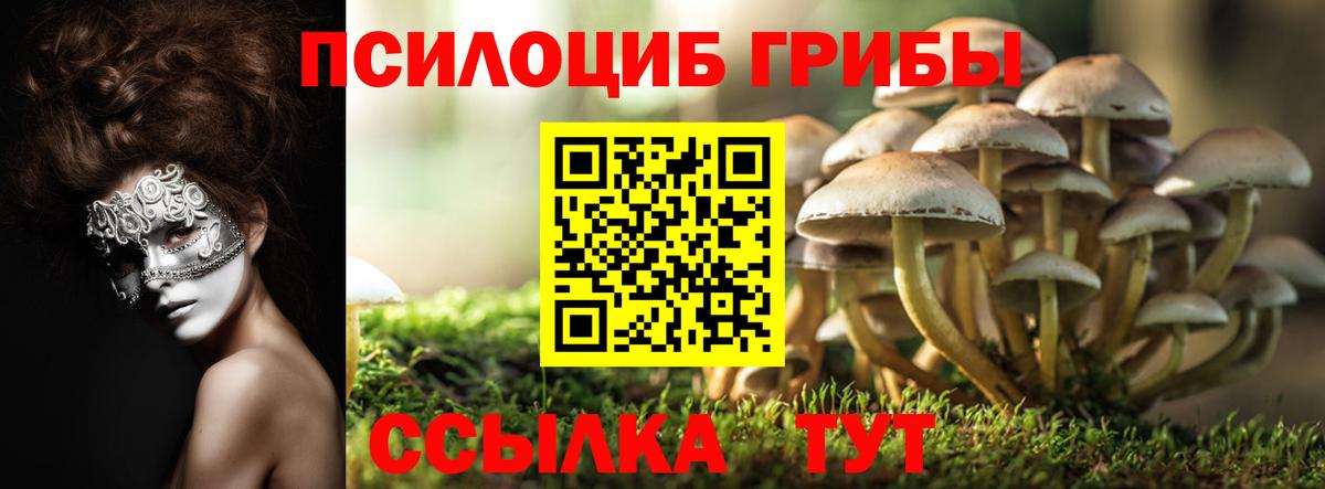 Рассказово  Псилоцибиновые грибы ЛСД  Вход с VPN 